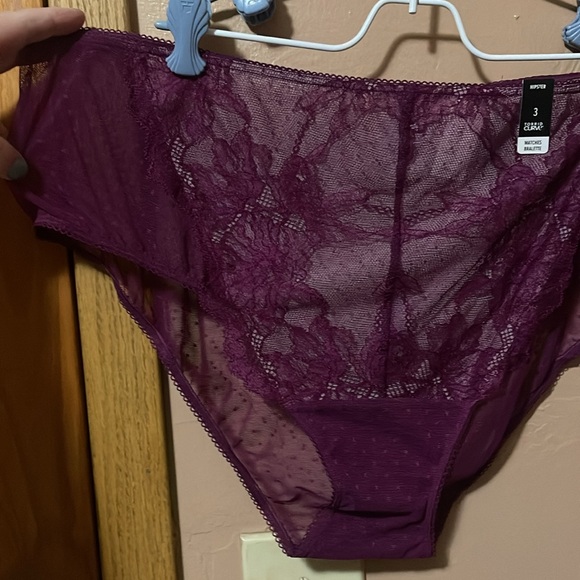 TORRID size 3X NWTS hipster lace sheer panties w/ keyhole back - Picture 2 of 6